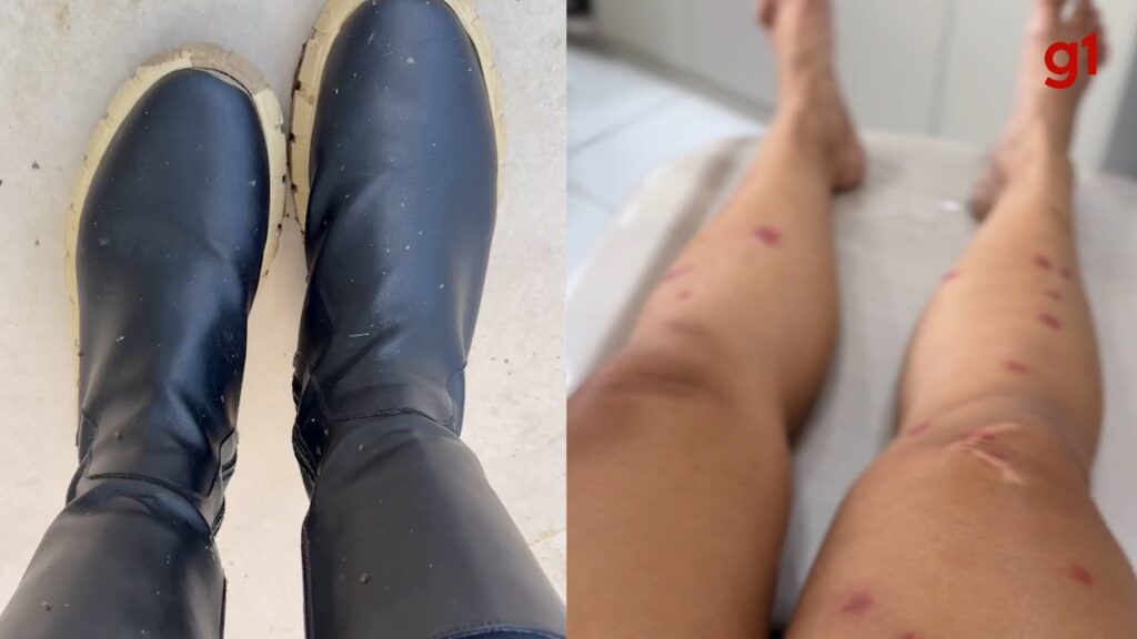 Projeto de Lei para Distribuição de Repelentes é Aprovado no Rio de Janeiro Imagem do artigo