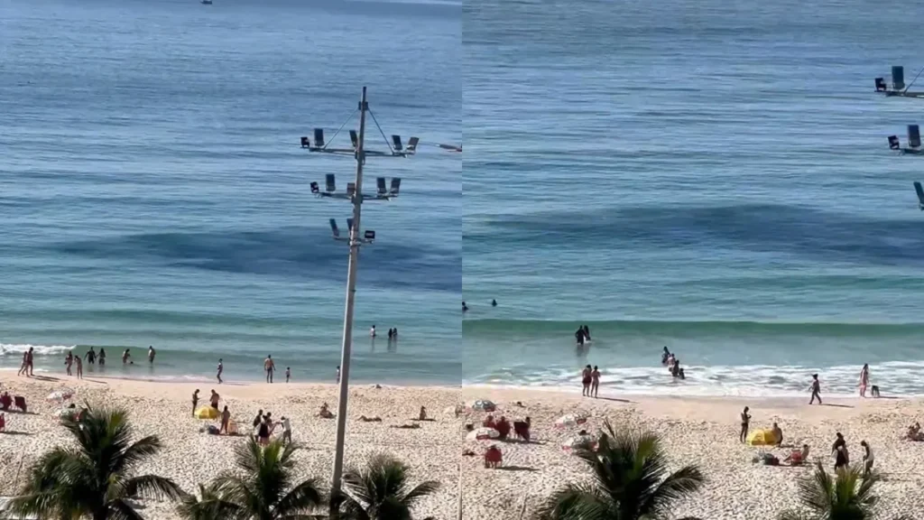Banhistas se surpreendem com cardume na Praia do Leme, Rio de Janeiro Banhistas se surpreendem com cardume na Praia do Leme, Rio de Janeiro