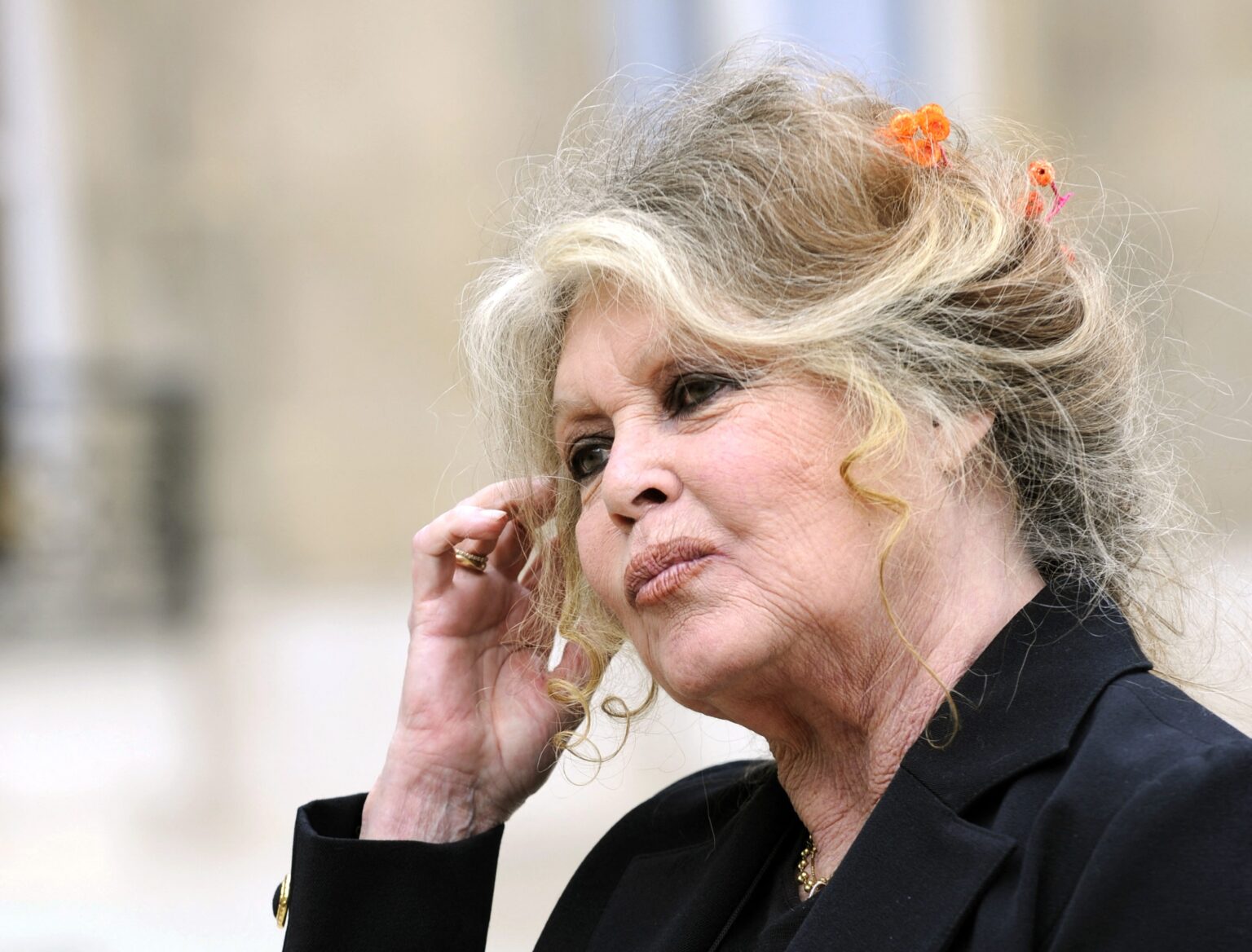 Brigitte Bardot: Uma Ícone do Cinema que Transformou sua Vida em Defesa dos Animais