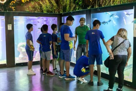 Complexo Biocultural do Porto: Lazer e Cultura em Cuiabá Durante as Festas de Fim de Ano