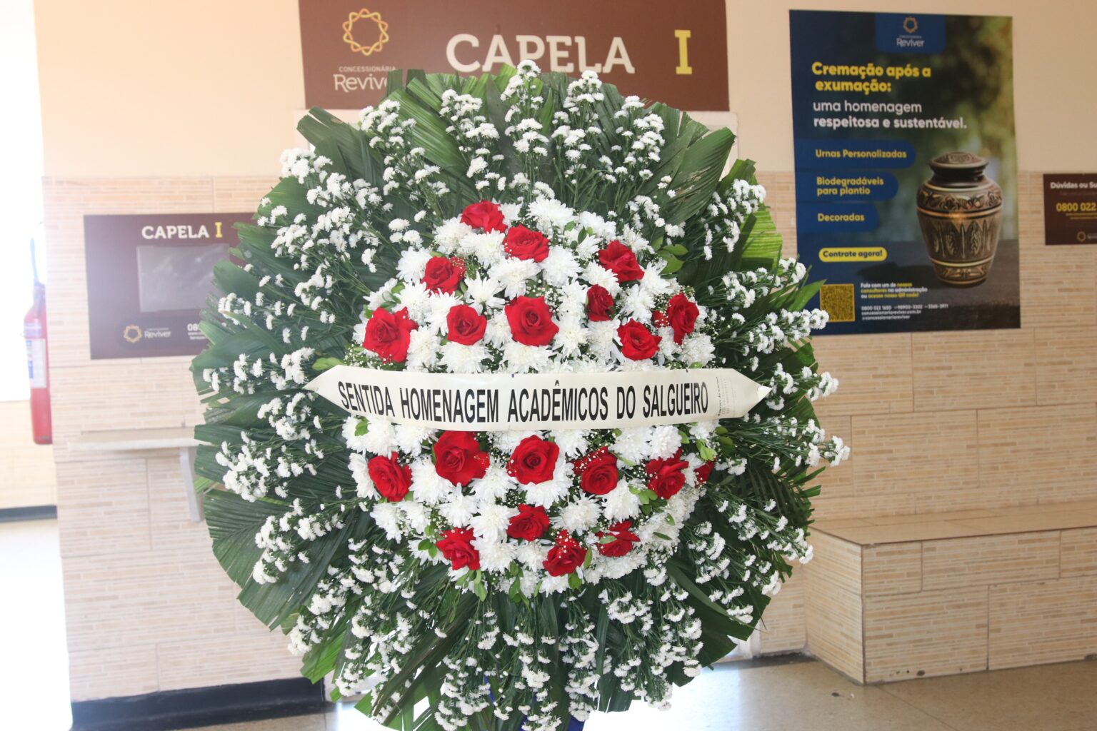 Adeus, Haroldo Costa: O Legado do Artista que Encantou o Brasil Imagem do artigo