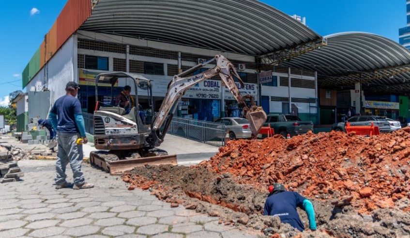 Agricultura de Mogi se Destaca entre as Melhores do Estado em 2025