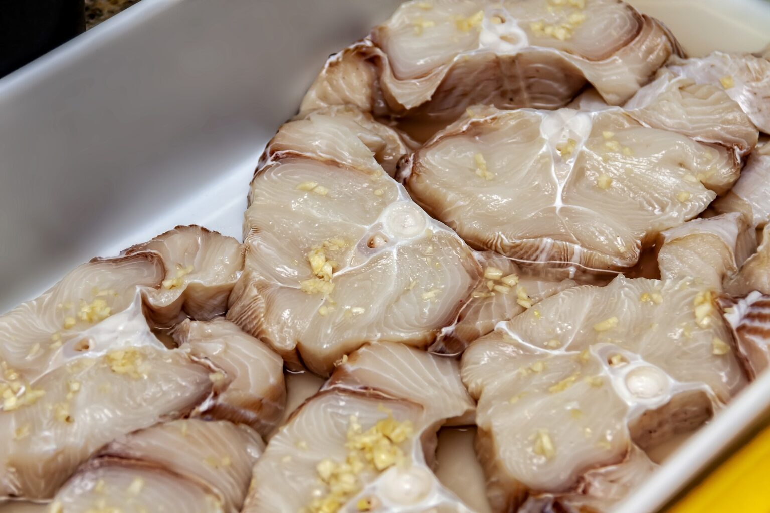 Carne de tubarão proibida nas escolas do Rio de Janeiro: Entenda a decisão