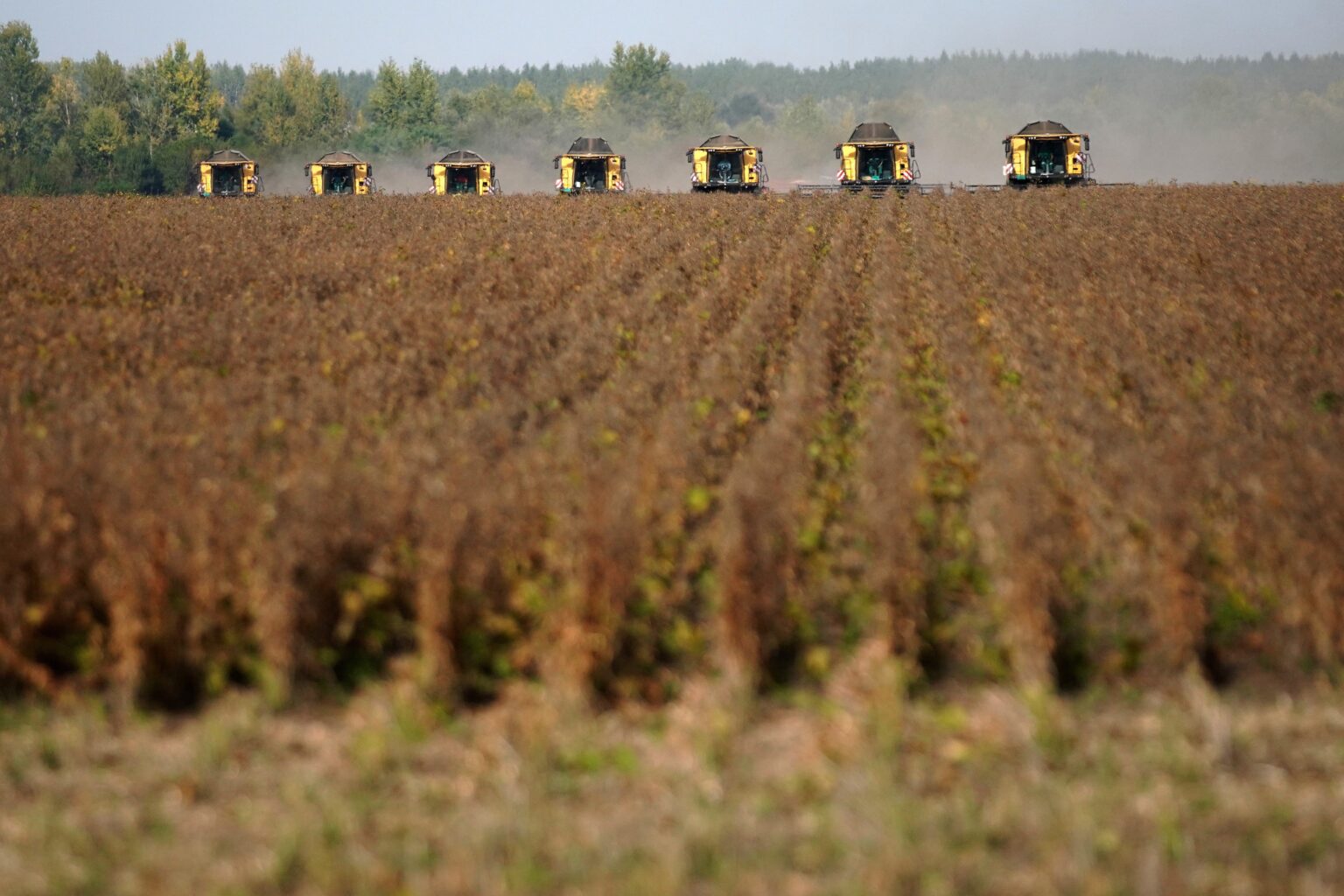Comércio Brasil-China ultrapassa US$ 170 bilhões, mais que o dobro do que com os EUA