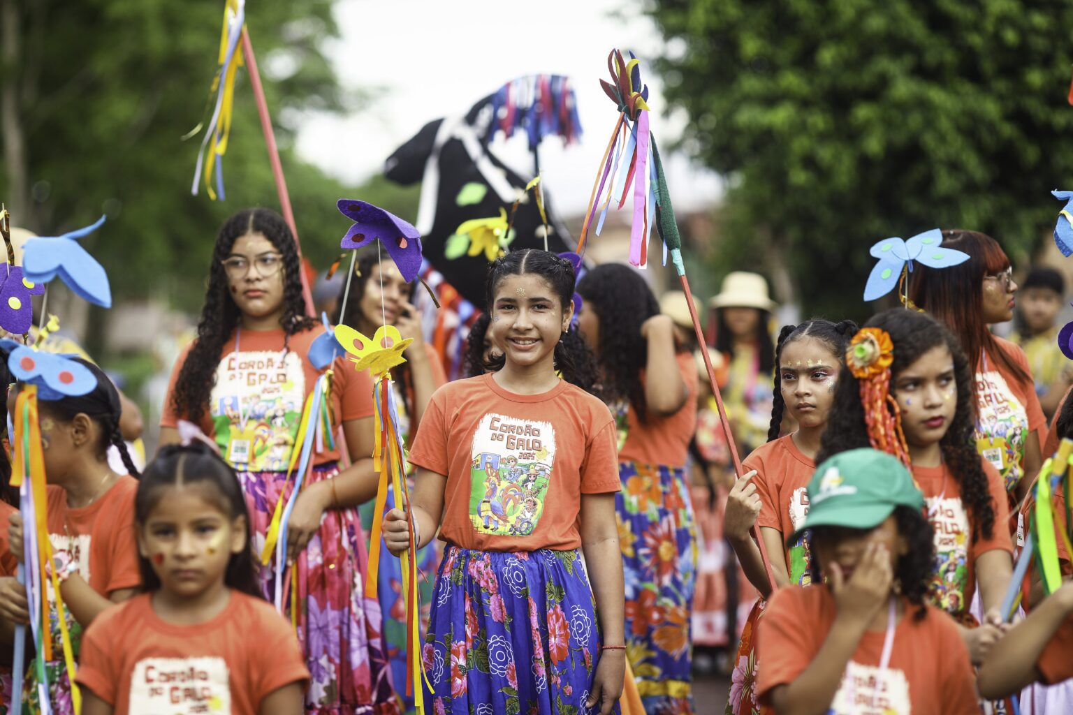 Cordão do Galo: Um Mergulho Cultural em Cachoeira do Arari