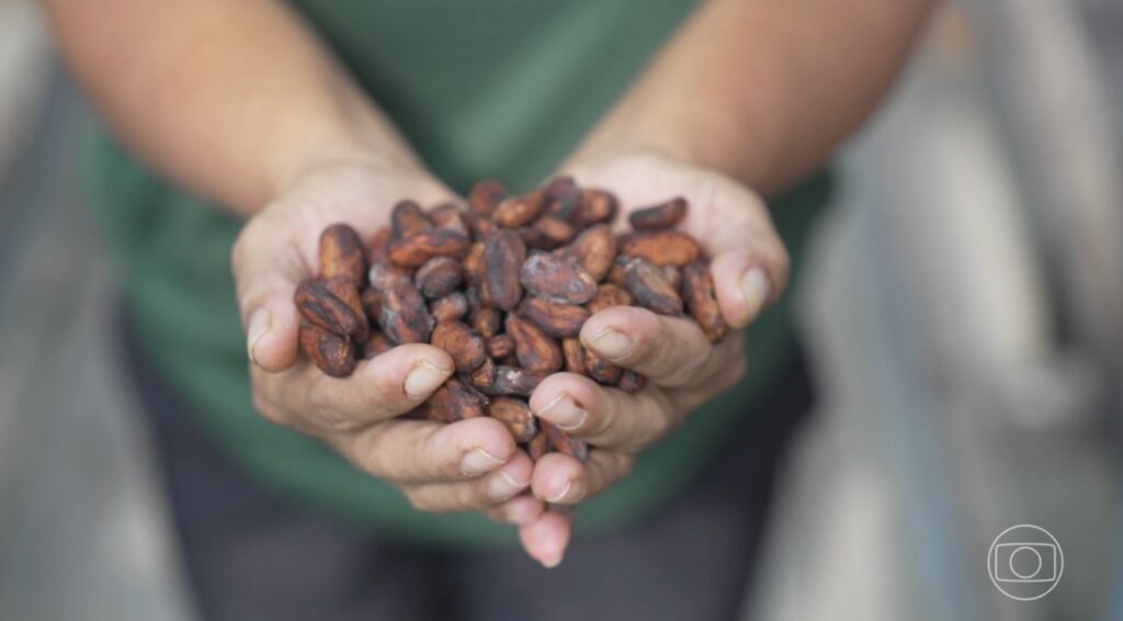 Impactos do Acordo Mercosul–União Europeia nas Regiões do Brasil