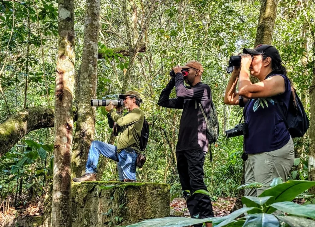 Pernambuco Fomenta Turismo de Observação de Aves com Novo Edital
