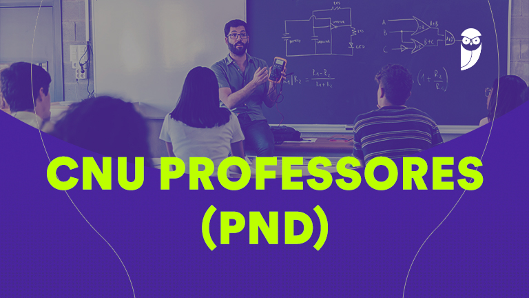 Política Nacional de Indução à Docência: Mais Professores para a Educação Básica no Brasil