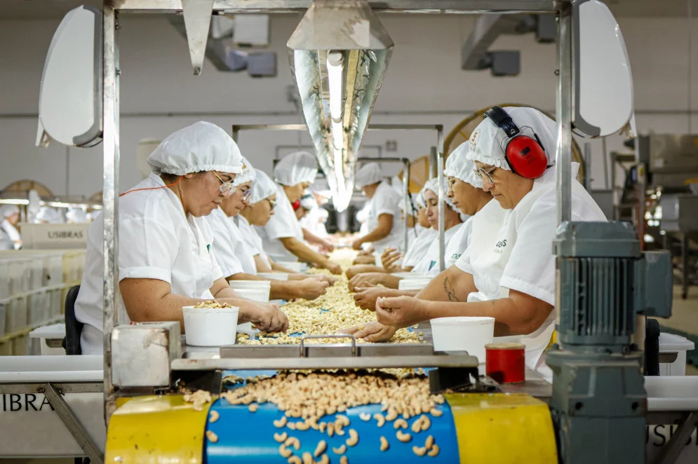 Produção Industrial do Ceará Sofre Queda de 2,6% em Novembro, Aponta IBGE