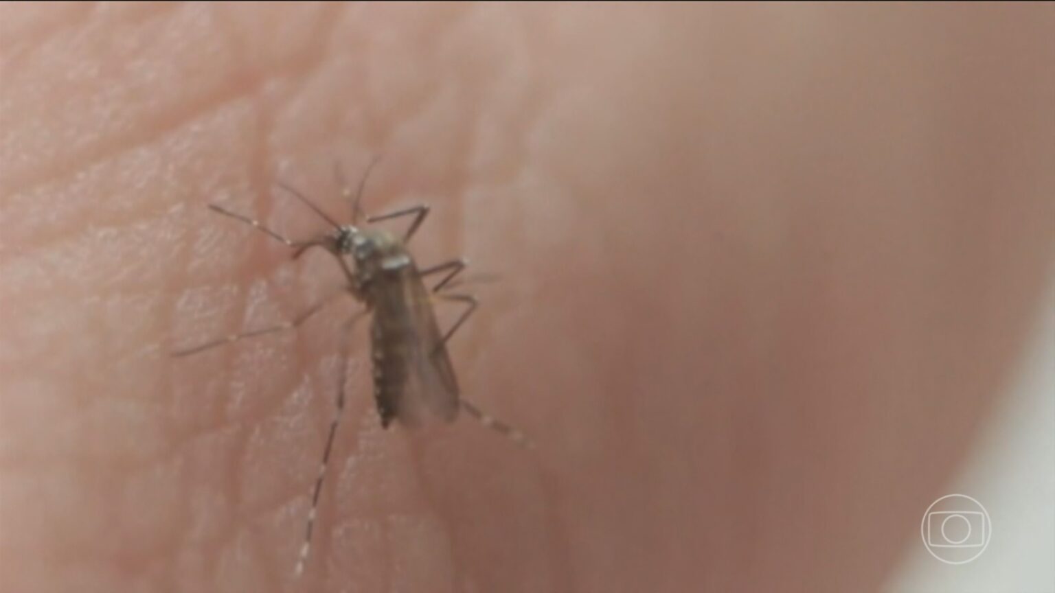 Santos Intensifica Combate à Dengue com Novo Mapeamento de Focos