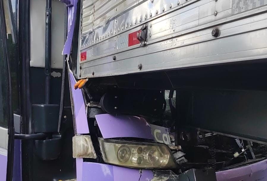 Acidente Envolve Ônibus de Turismo e Caminhões na BR-101: Veja o Vídeo!