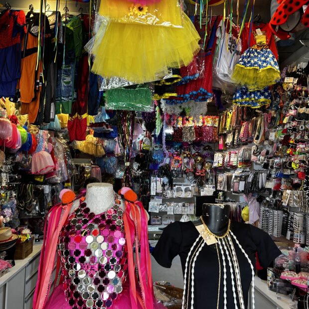 Carnaval 2026: Oportunidades Econômicas e Inclusão Social em Foco