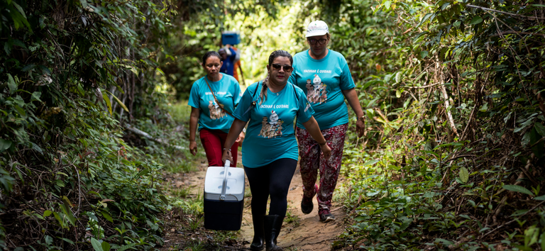 Coqueluche no Território Yanomami: Mais de 250 Atendimentos Realizados pelo Ministério da Saúde