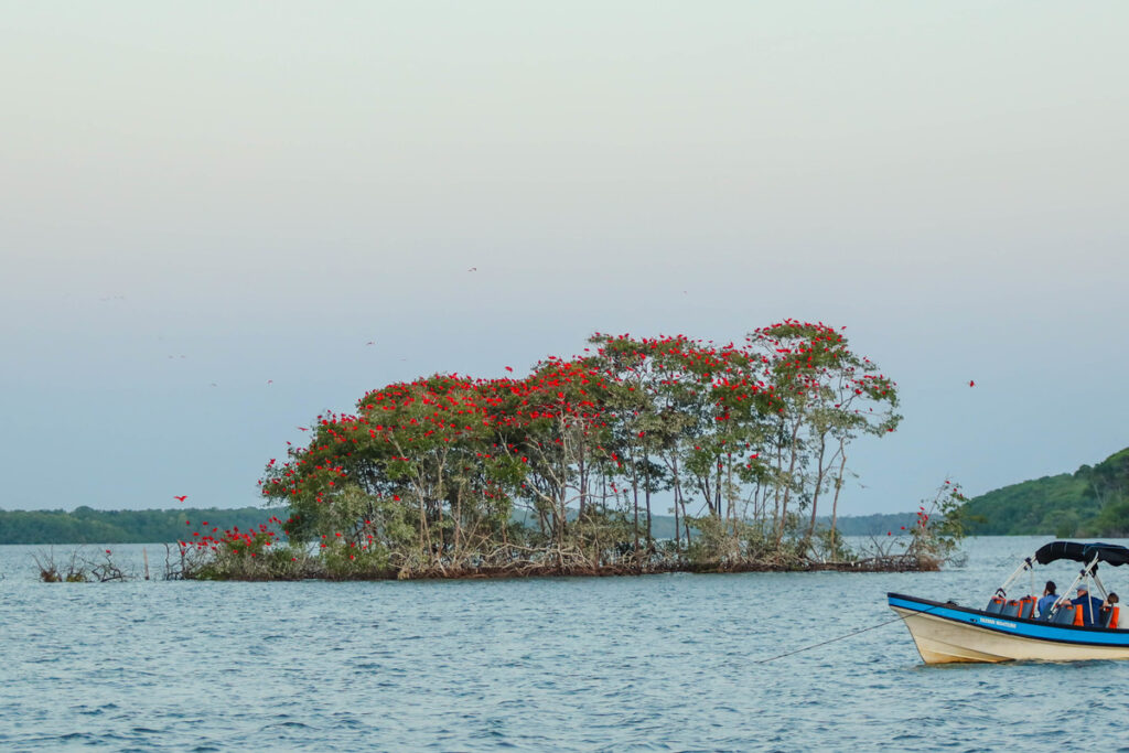 Crescimento Impressionante: Empregos no Turismo do Piauí Aumentam 83%