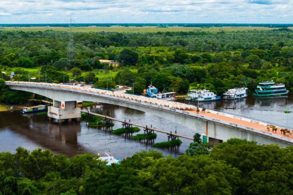 Cultura Pantaneira: Fotógrafo Registra Comitiva Emocionante no MS