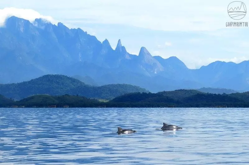 Rio de Janeiro Inicia 2026 com Crescimento de 17% no Turismo Internacional Rio de Janeiro Inicia 2026 com Crescimento de 17% no Turismo Internacional
