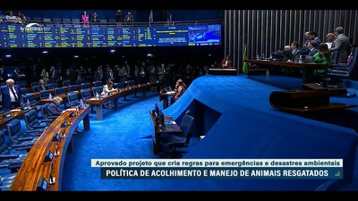 Senado Aprova Nova Política de Proteção e Resgate de Animais em Desastres Senado Aprova Nova Política de Proteção e Resgate de Animais em Desastres