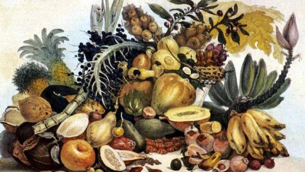 A Influência da Gastronomia Brasileira na Cozinha Portuguesa: Uma Conexão Cultural Profunda