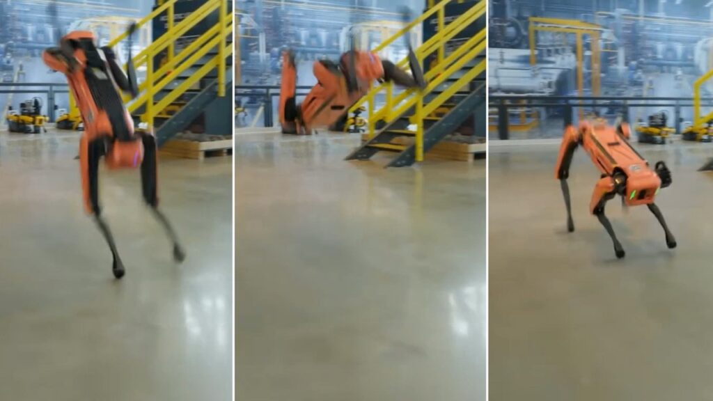 Cães Robôs: A Nova Fronteira da Segurança de Dados nas Gigantes da Tecnologia