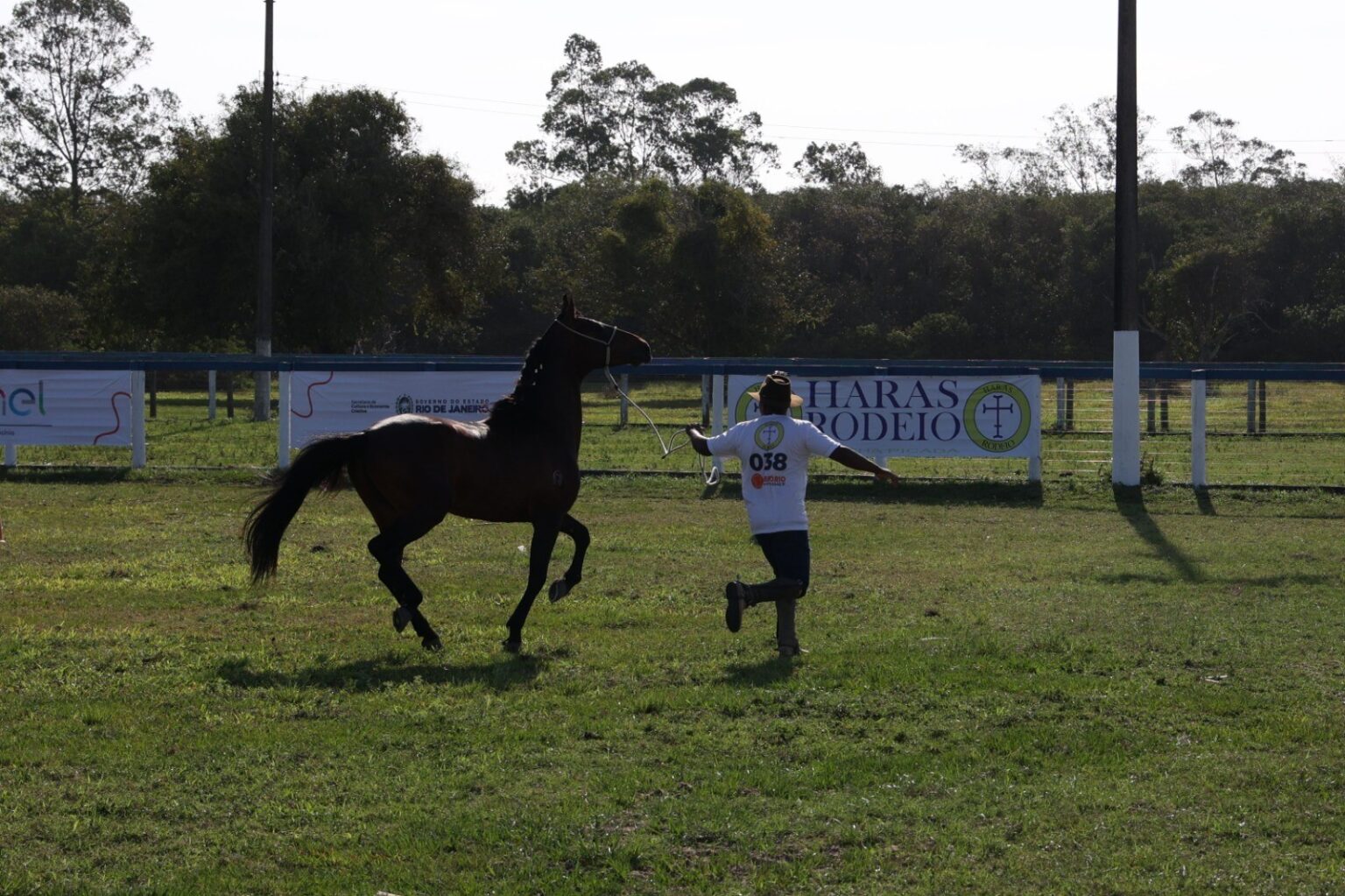 Caminho Agro Rio: Show de Zezé di Camargo e Diversão no Riocentro