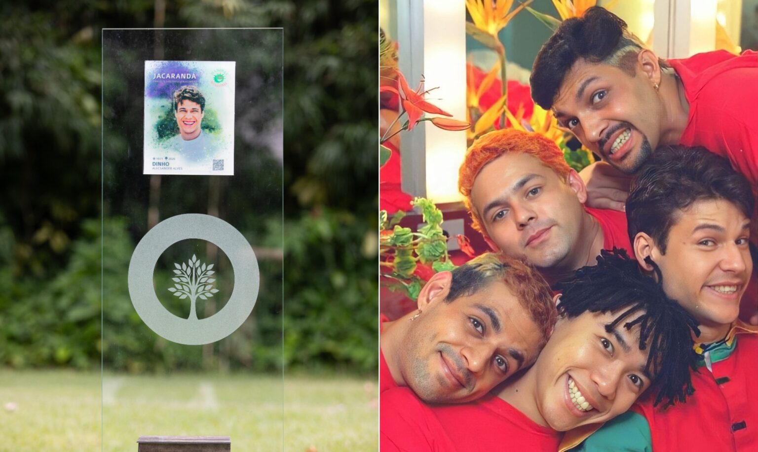 Cinzas dos Mamonas Assassinas se Transformam em Árvore de Jacarandá em Homenagem Emocionante