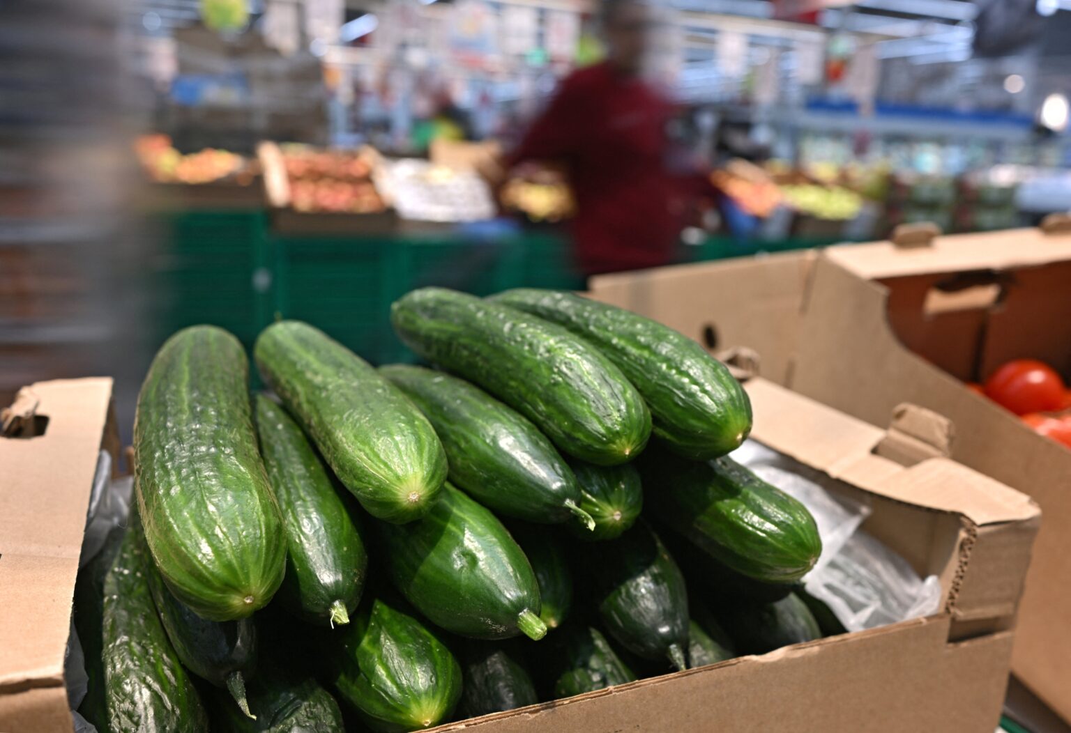 Crescimento do PIB: Banco Central aponta alta de 0,8% em janeiro, a maior em um ano Crescimento do PIB: Banco Central aponta alta de 0,8% em janeiro, a maior em um ano