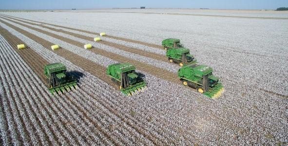 Crescimento do PIB Nacional é de 2% enquanto Setor Agroexportador sobe 12%, diz IBGE