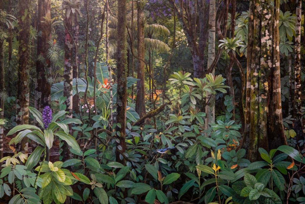 Exposições Imperdíveis no Rio: Últimos Dias das Mostras com Ailton Krenak e Mais