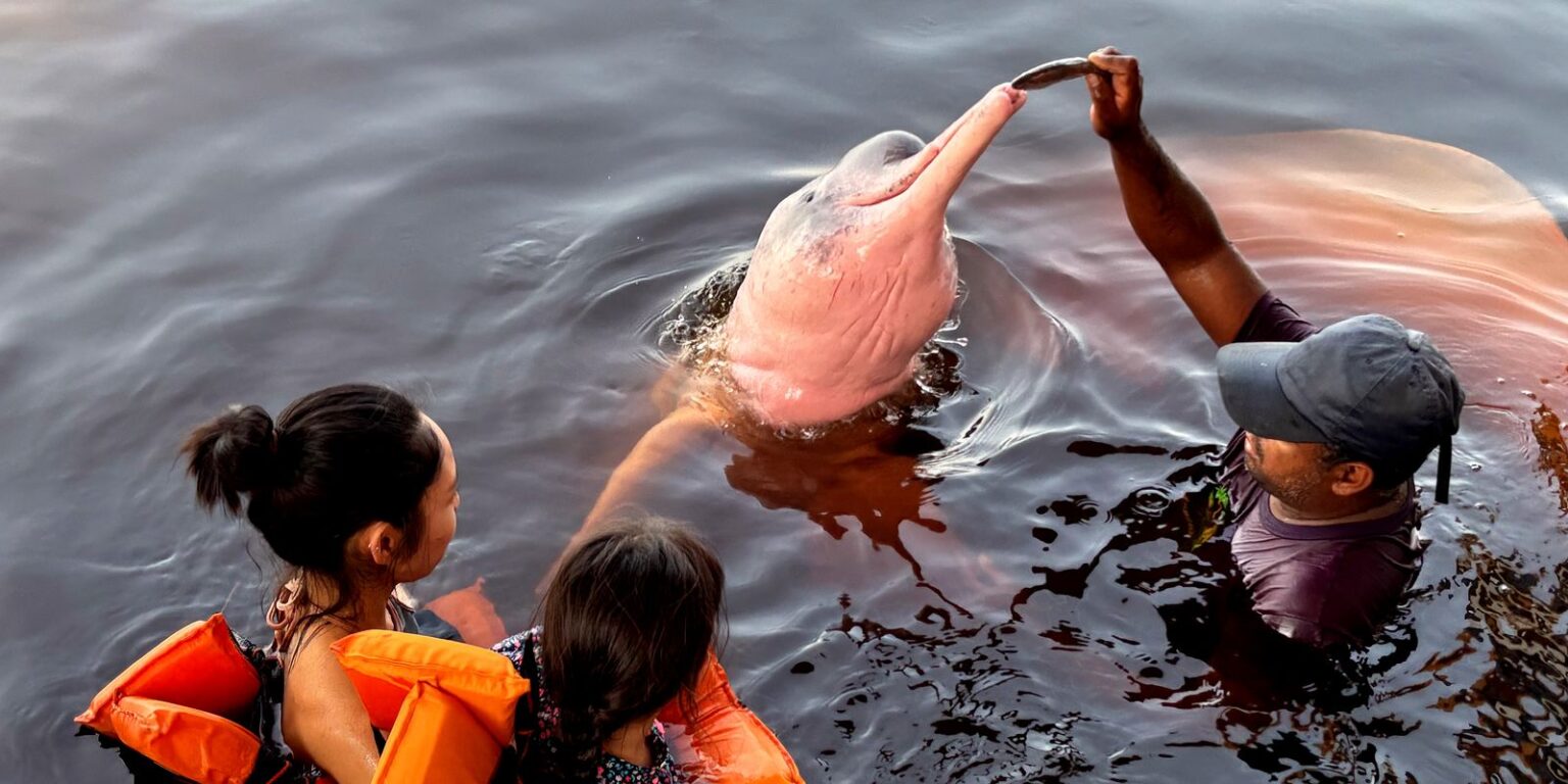 Insegurança Impede 62% das Mulheres de Viajarem Sozinhas - Pesquisa Revela Desafios