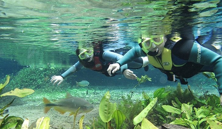 Mato Grosso do Sul Brilha na Inauguração do TurisMall 2026