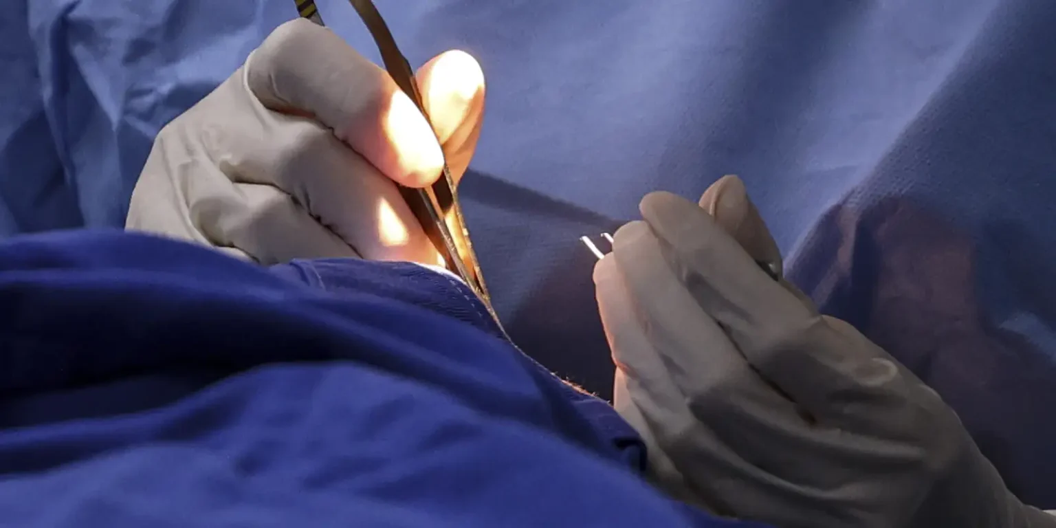 Mutirão Nacional de Saúde da Mulher: Uma Oportunidade Única de Atendimento