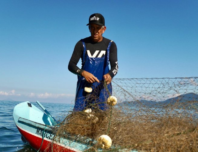 São Sebastião Impulsiona Turismo Comunitário e Preserva Cultura Caiçara