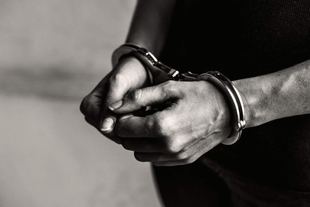 Cuidado com o Gato: Furto de Energia Pode Resultar em Prisão e Multas Elevadas