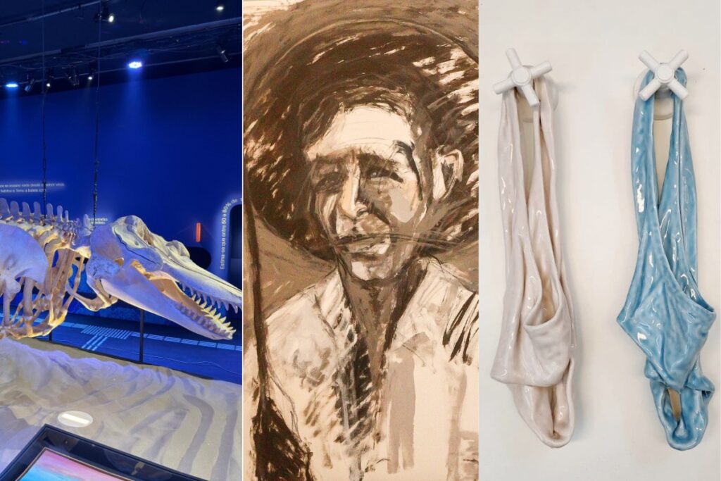 Exposições Imperdíveis no Rio de Janeiro: Museu do Amanhã Grátis e Celebrando Virginia Woolf