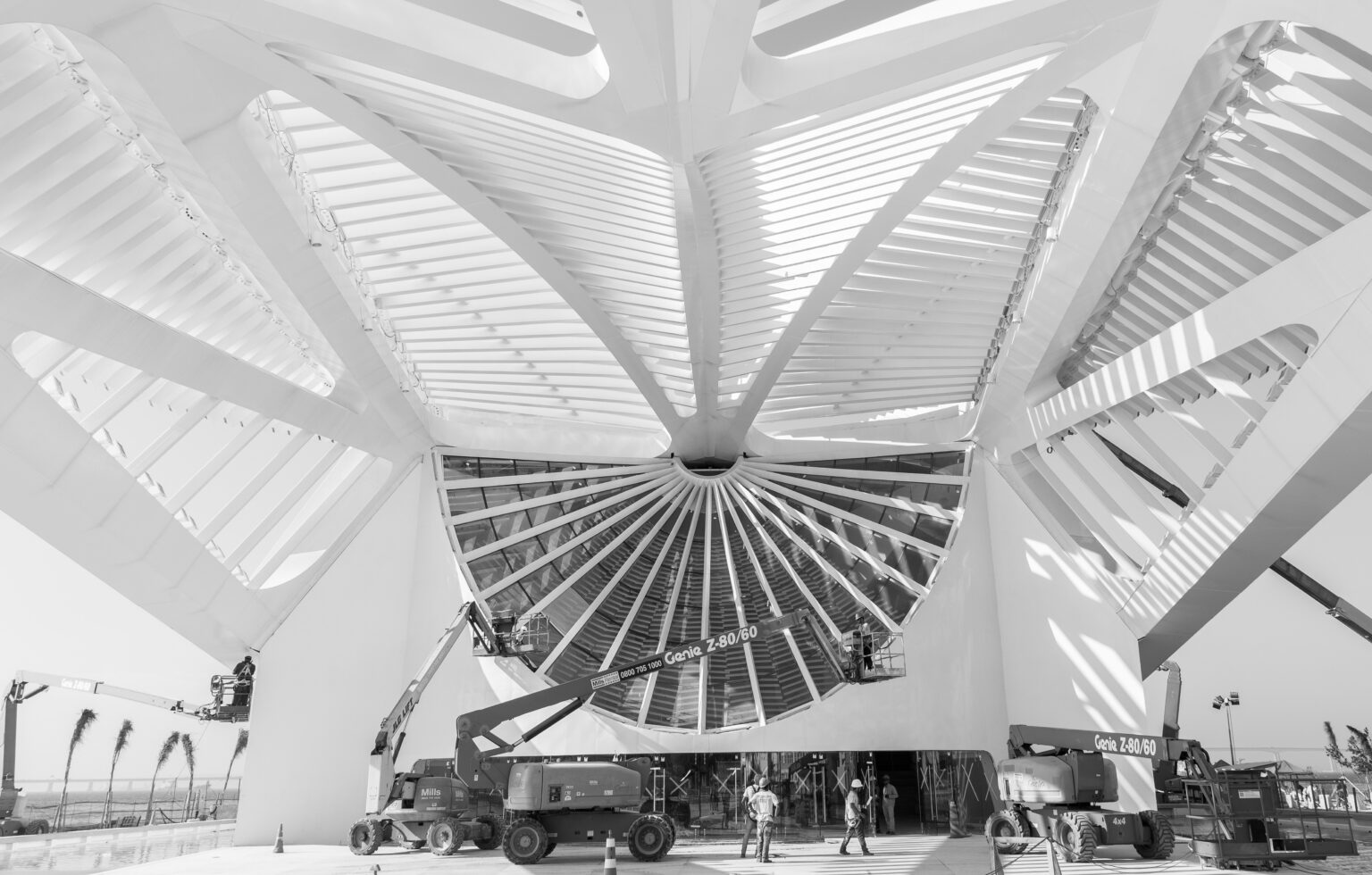 Museu do Amanhã Completa 10 Anos com Lançamento de Livro e Nova Livraria