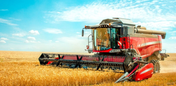 Santa Catarina se Destaca como 4ª na Indústria Alimentícia Brasileira em 2025 Santa Catarina se Destaca como 4ª na Indústria Alimentícia Brasileira em 2025