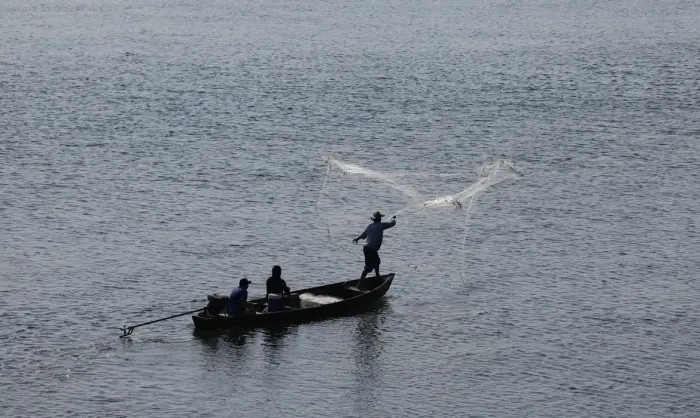 Universidade do Mar: Novo Centro de Formação no Rio de Janeiro Promete Revolucionar a Economia Local