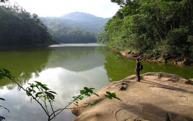 Do Cristo às Montanhas: A Nova Trilha que Redesenha o Rio de Janeiro pela Natureza