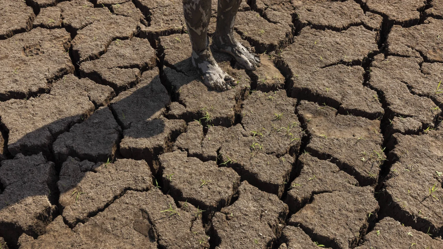 El Niño 2024: Fenômeno já começou e pode atingir níveis moderados ou fortes, alerta agência dos EUA El Niño 2024: Fenômeno já começou e pode atingir níveis moderados ou fortes, alerta agência dos EUA