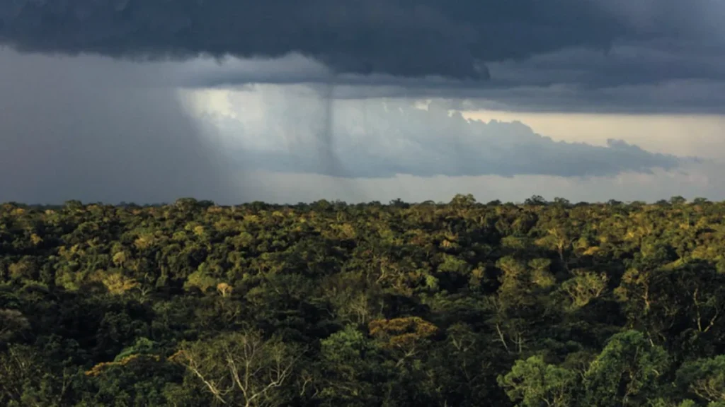 Mudanças Climáticas Aumentam Sensibilidade das Chuvas ao Desmatamento na Amazônia até 2050 Mudanças Climáticas Aumentam Sensibilidade das Chuvas ao Desmatamento na Amazônia até 2050
