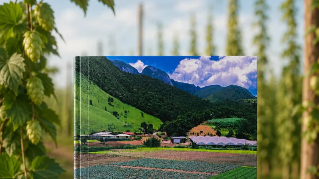 Como a Produção Cervejeira Impulsiona Economia, Cultura e Turismo no Rio de Janeiro Como a Produção Cervejeira Impulsiona Economia, Cultura e Turismo no Rio de Janeiro