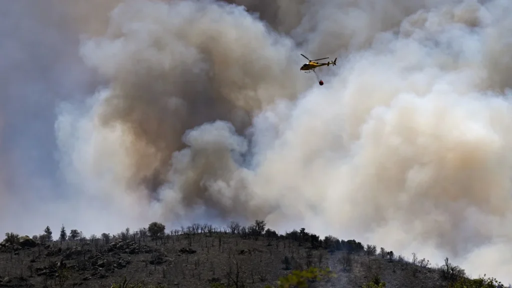 Incêndios florestais destroem mais de 17 mil hectares na Europa com calor extremo Incêndios florestais destroem mais de 17 mil hectares na Europa com calor extremo